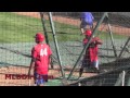 Dj davis batting practice toronto blue jays