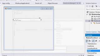 Masked TextBox