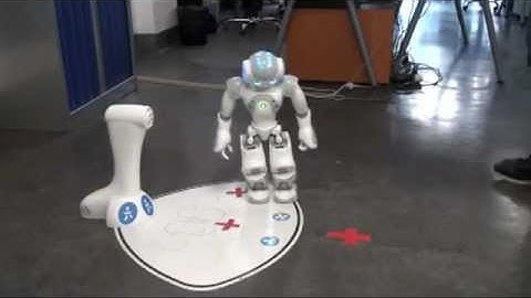 Nao Tracking System