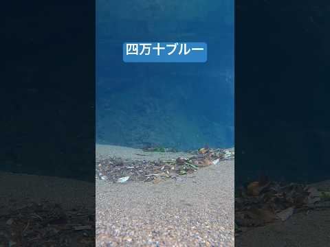 【仁淀ブルーよりもブルーかも】