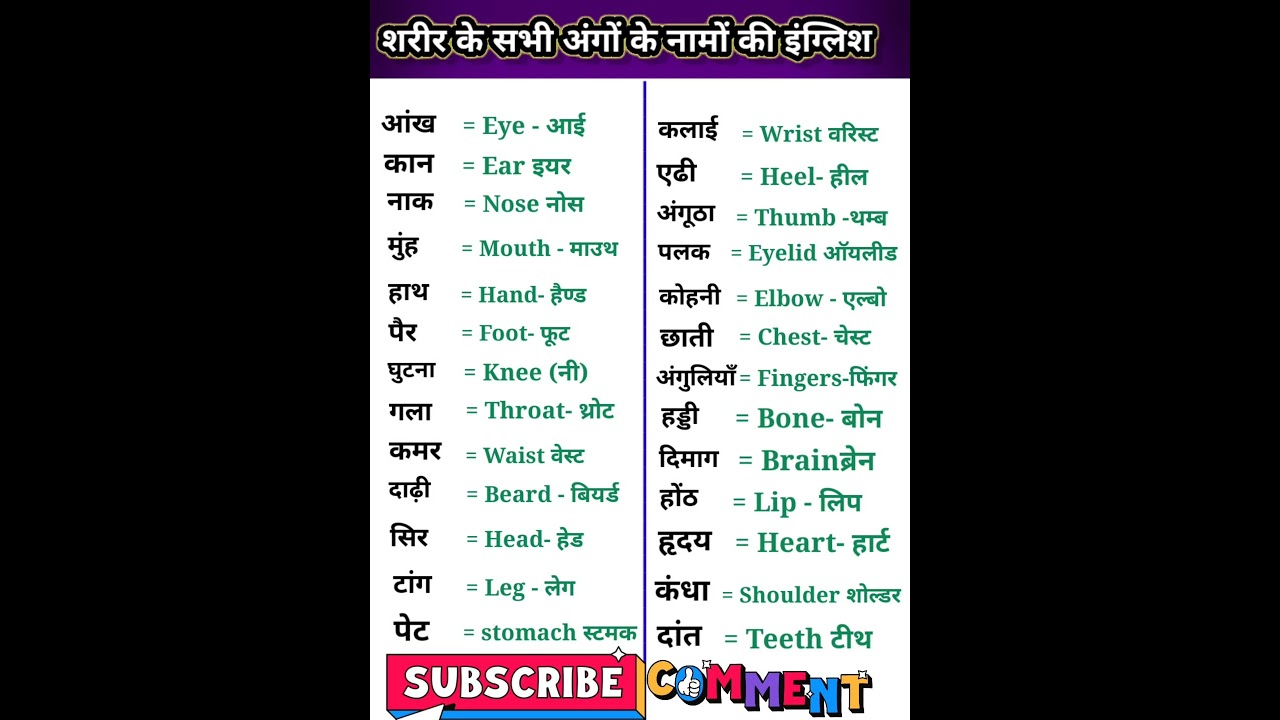 मानव शरीर के अंगों के नाम हिंदी और इंग्लिश में | 