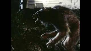 werewolf sounds
