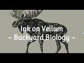 Ink on Vellum ~ Backyard Biology