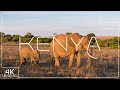 🐘 Stunning Kenya Nature &amp; Wildlife in 4K