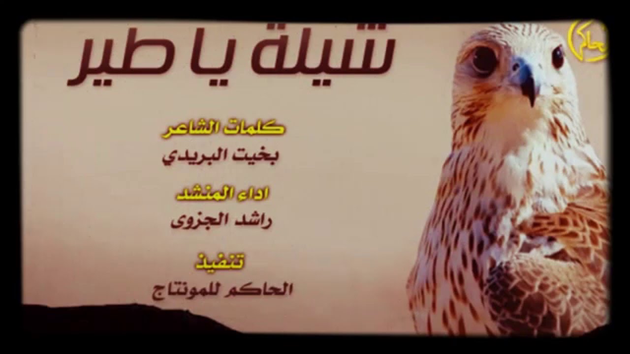 شيله: ياطير خذني معك ياطير