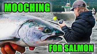 Mooching 101: The Ultimate Salmon Fishing Technique Explained By Cast Alaska Fishing Lodge 