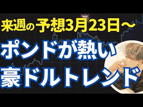 来週のFX相場分析！ポンドは注目していきたい！オージー円も実は…【投資家プロジェクト億り人さとし】