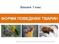 Типи поведінки тварин