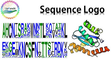 Sequence Logo