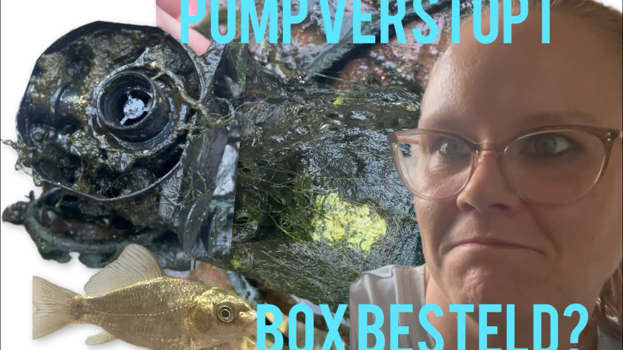 Die is goor,,,, en wat heb ik besteld?? - YouTube