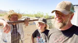 We've Been DREADING This STEP of the Goat Barn Container 😬 by Tiny Shiny Home 34,210 views 5 days ago 19 minutes