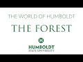 The World of Humboldt - The Forest - Humboldt State University