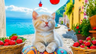 12 Hours of Music Therapy for Cats to Play, Dance, and Make Them Happy 😻 Anti-Anxiety Music for Cats