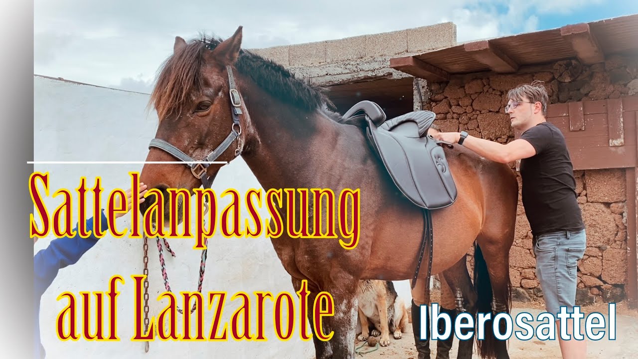 Sattelanpassung auf Lanzarote - Iberosattel