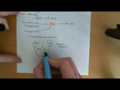 Video: Trijų Kūnų Terapijos Su Indukuotomis Pluripotencinėmis Kamieninėmis Ląstelėmis Problema