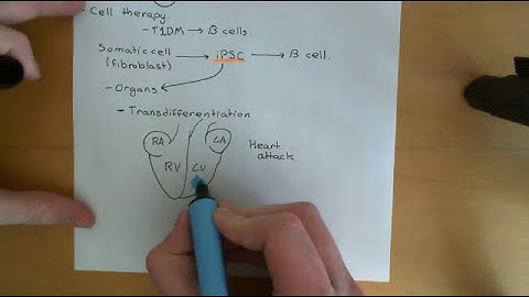 Embryonic and Induced Pluripotent Stem Cells Part 6