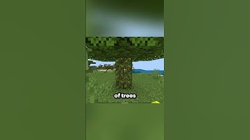 why bedrock is better than java