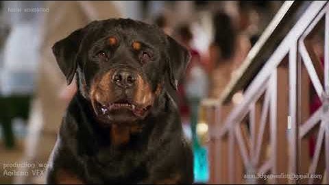 Arun kc Creature Animation Reel 2020