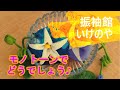 【モノトーンで着てみました】黒の着物を着たいときに参考にしてみて下さい。