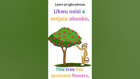 Learn Igbo with Maazi Agu | "This Tree Has Sprouted Flowers" 🌳🌺