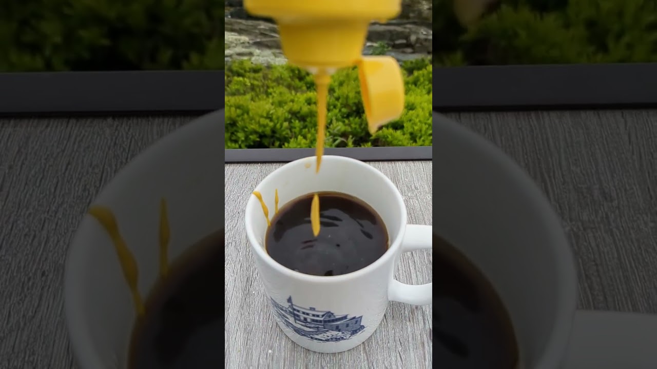 Mustard on Coffee in Maine