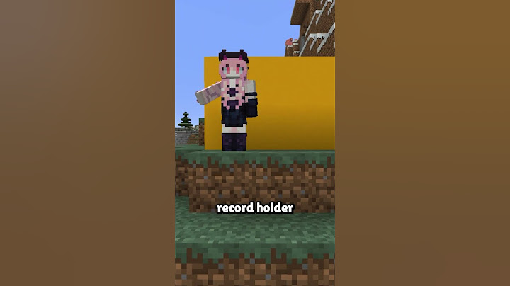 The Perfect Speedrun.