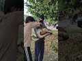 #snake #naaginjaisikamarhila #cobra #viral #sanke