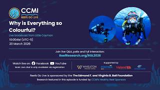 Reefs Go Live 2026: Episode 1 - Why is Everything so Colourful?