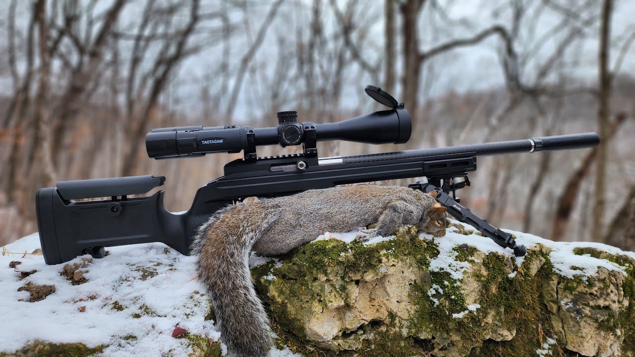 Squirrel Hunting with Suppress 10/22