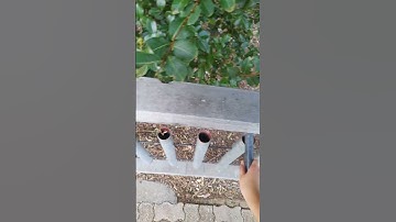 shadow of the beast: welcome song cover