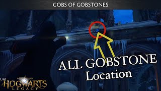 Find Zenobias Gobstones in Hogwarts Legacy