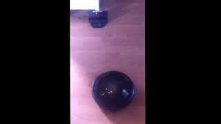 Andy's robot vacuum cleaner