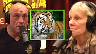 He Hit A Siberian Tiger… What Happened Next Is Insane | Joe Rogan”