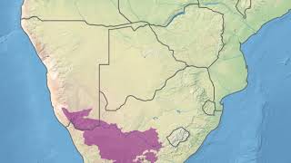 Nama Karoo | Wikipedia audio article