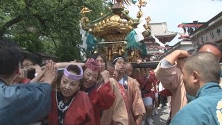 みこし１００基、練り歩く 浅草神社の三社祭