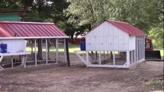 chicken moving winter coops