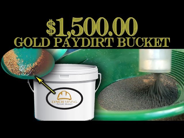 $1,000.00 Paydirt Bucket, I Got Ripped Off! (Extended version) - Lynch  Mining 