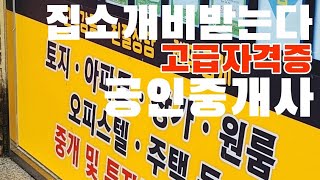 공인중개사는5대전문자격증|집소개비|임장비