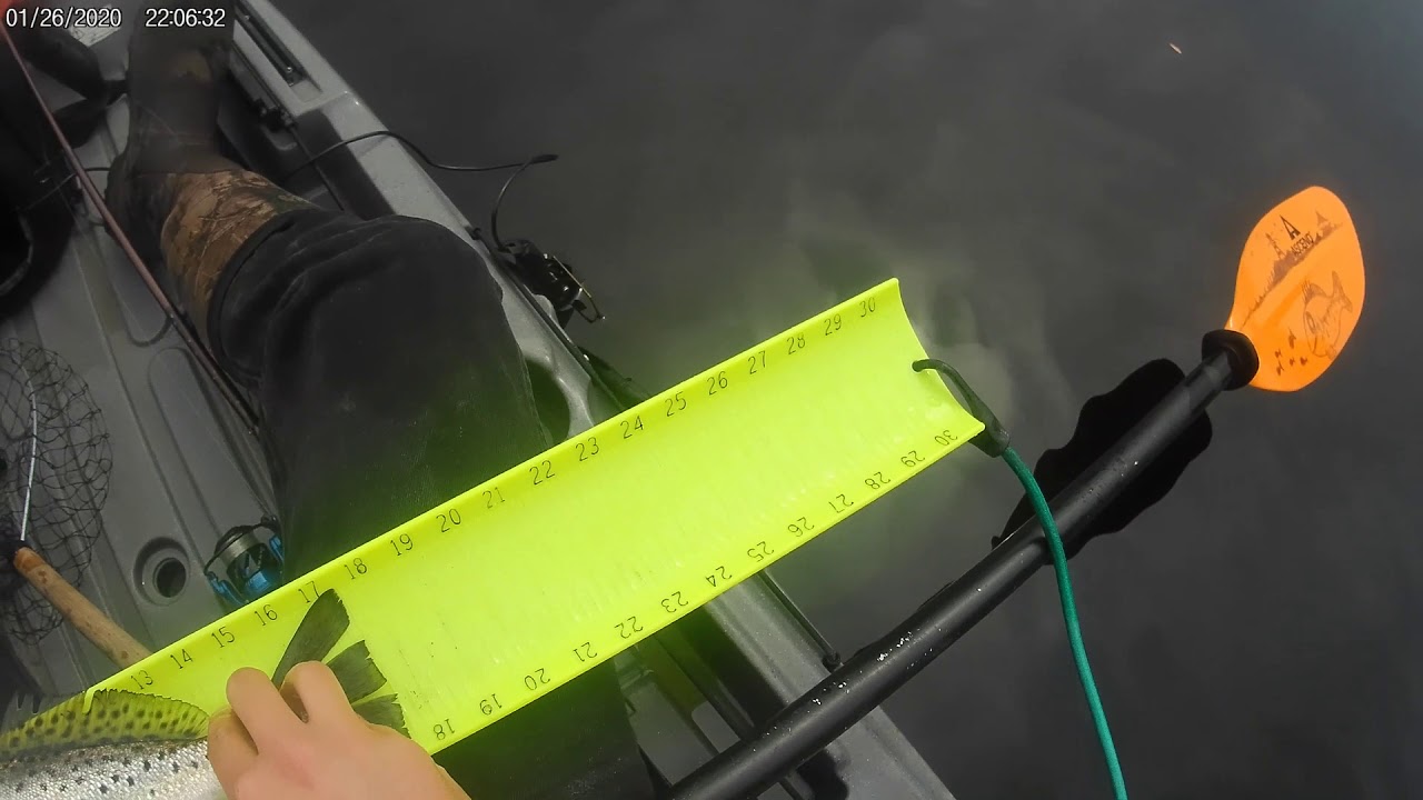 Speckled Trout Fishing on the Elizabeth River YouTube