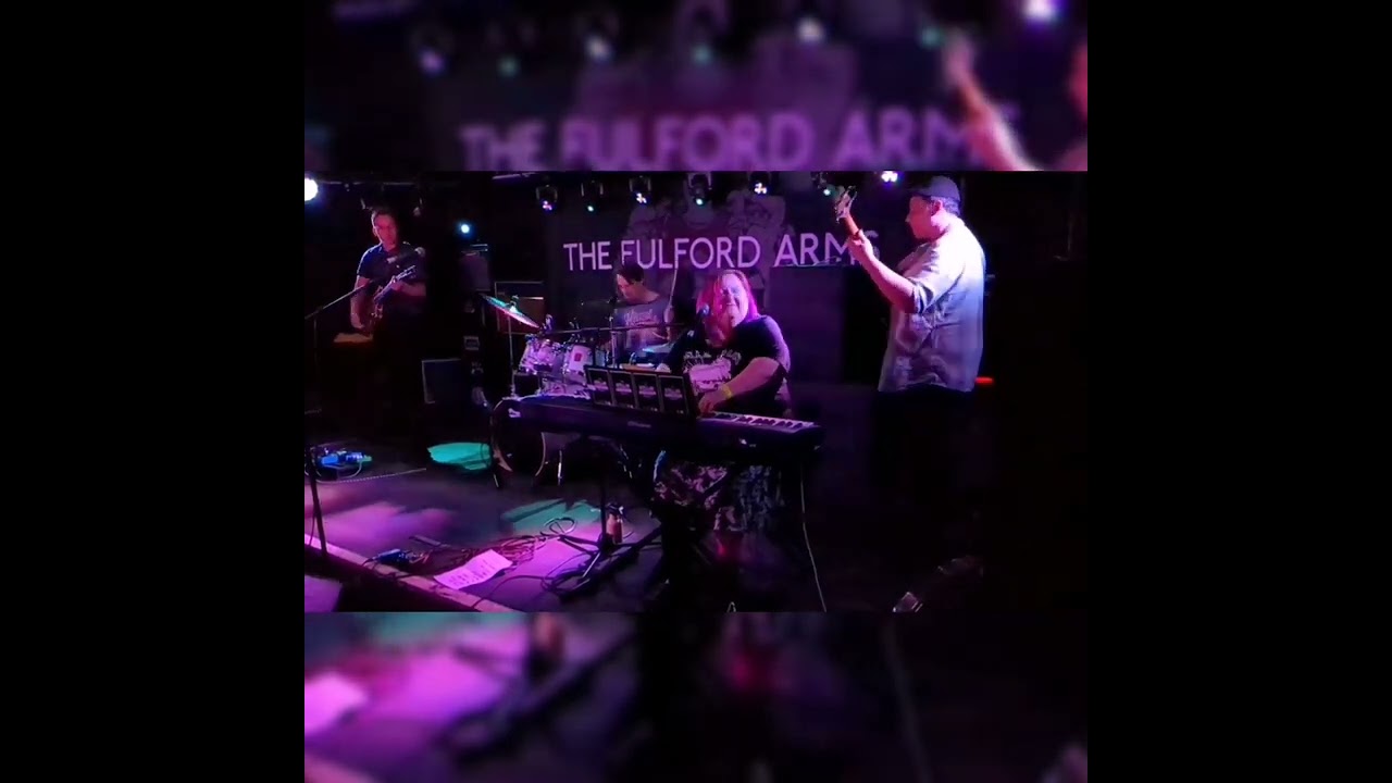 The Overload: The Stellar Anderson Project live at The Fulford Arms