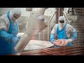 Испания трудоустраивает иностранцев и фиксирует рекордный рост экономики