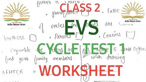 EVS CYCLE TEST 1/CLASS 2nd/kv/kvs/work sheet/worksheet/clas 2evs #kvs #kvexam #cbse #cycletest #kv