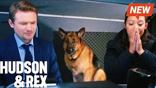 Hudson and Rex 2024 🔥🔥 Haunted by the Past 🔥🔥 Full Episode Series 2024 New