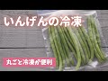 【いんげんの冷凍保存】生のまま丸ごと冷凍するのが便利！凍っていてもすぐに使えます。