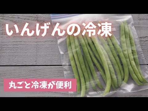 [Freezing Green Beans] It's convenient to freeze them whole and raw! They can be used immediately...
