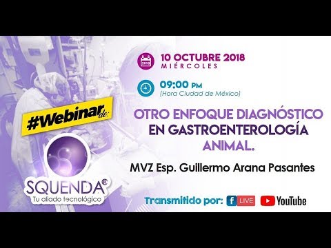 Otro Enfoque Diagnóstico En Gastroenterología Animal - MVZ Esp. Guillermo Arana Pasantes