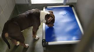 acs A674581