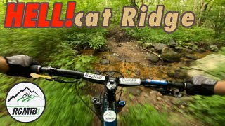 OMG this ride kicked my butt! | Wildcat Ridge Mountain Bike Ride | Santa Cruz Nomad
My first visit to Wildcat Ridge and it kicked my butt!
This place has a lot to offer if youre willing to work for it
My buddy Mark took me for a tour of Wildcat Ridge in new jersey. This is a place Ive been looking to ride for quite some time. I heard it could be technical but I was not expecting quite so many hill! Plus, the technical mountain bike riding was constant. It was a great time, but I worked harder then expected! There was one rock garden that I was able to clear. I was very happy to have my santa cruz nomad with me for this ride.
—— HOW ABOUT BUYING ME A CUP OF COFFEE! ——
https://ko-fi.com/support_rgmtb
—— VISIT OUR WEBSITE ——
http://rgmtb.com
—— MUST HAVE TOOL KIT! ——
https://kit.co/rgmtb/my-must-have-bike-repair-tools
—— CHECK OUT OUR GEAR ——
https://kit.co/rgmtb
https://www.amazon.com/shop/regularguymountainbiking
—— COME RIDE WITH US ——
https://www.meetup.com/Regular-Guy-Mountain-Biking-Meetup/
—— REACH REGULAR GUY MOUNTAIN BIKING ——
Email: contact@rgmtb.com
Website: http://www.rgmtb.com
Twitter: https://twitter.com/
YouTube: http://www.youtube.com/c/rgmtb
Instagram: https://www.instagram.com/rgmtb
Podcast: http://mountainbikeradio.com/rgmtb
—— RGMTB THEME SONG ——
Music by: Robb Quartararo
Audio engineering / Music Production by:
IG: HB_Audioworks
#mountainbike #rgmtb #njmtb OMG this ride kicked my butt! | Wildcat Ridge Mountain Bike Ride | Santa Cruz Nomad