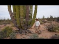 Cardon, the world's largest cactus.