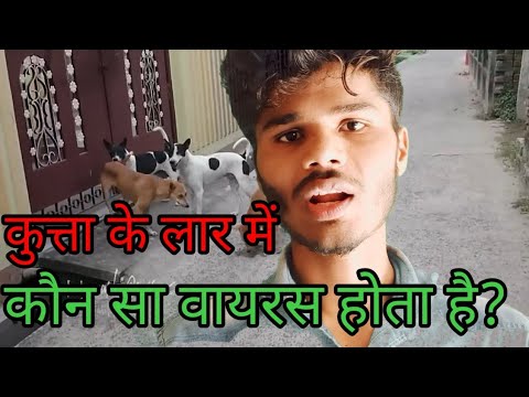 वीडियो: डॉग लार में पाए जाने वाले रोगाणु